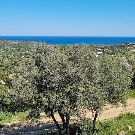 Charmant Petit Logement A 3 Kms De La Plage Бельгодер Екстер'єр фото